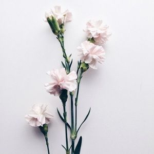 Meet your Posher, Alicia